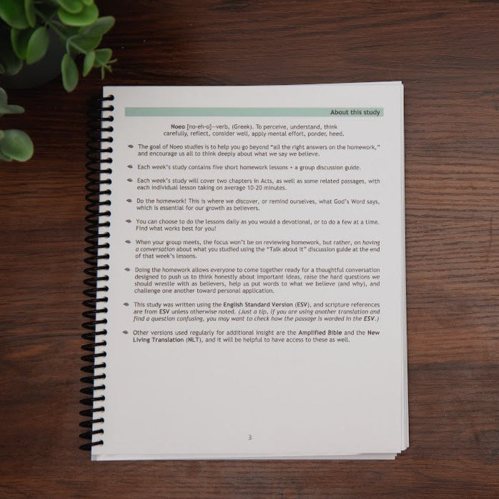 Intro page: how to use this Noeo study, from Tell the Story workbook; on wood table