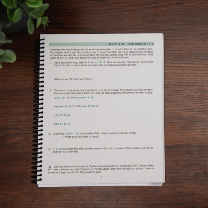 Sample lesson from Tell the Story, Book of Acts Bible study