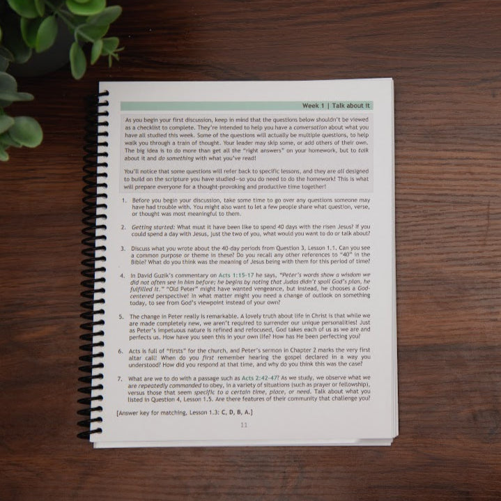 Sample lesson from Tell the Story, Book of Acts Bible study