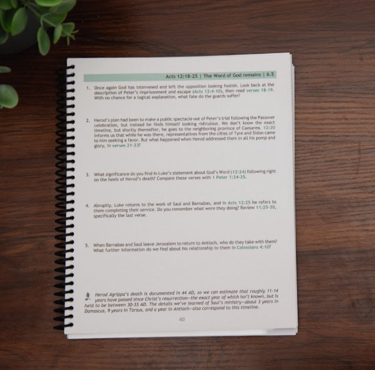 Sample lesson from Tell the Story, Book of Acts Bible study