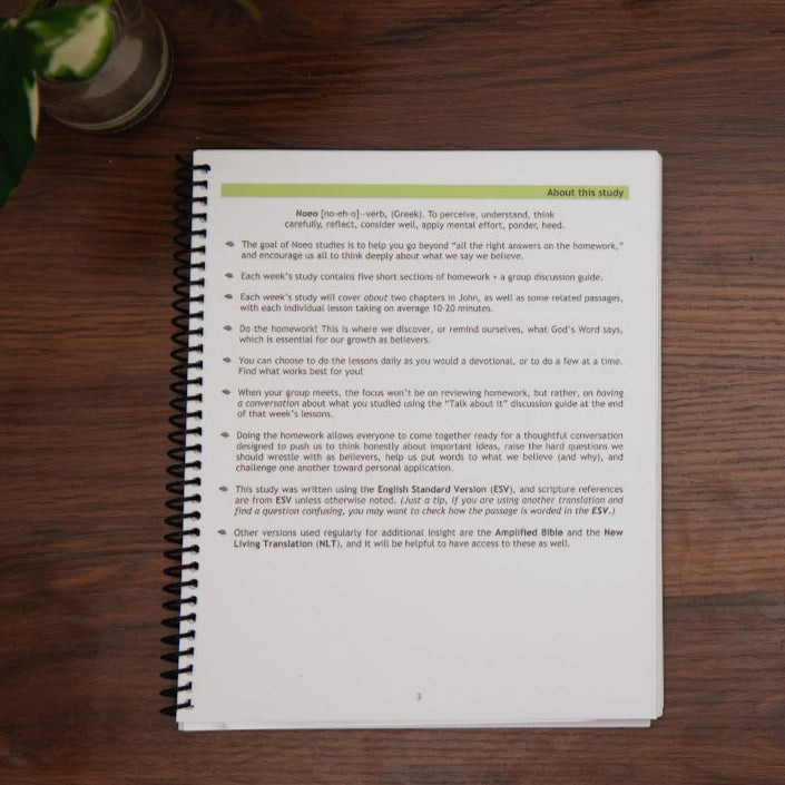 Intro page: how to use this Noeo study, from Follow After Him, study on Gospel of John