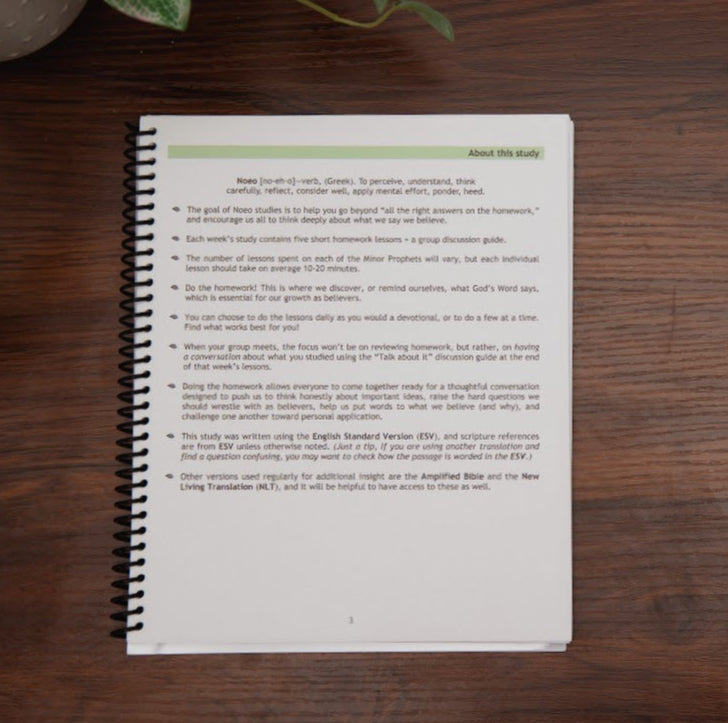 Return to Me: Minor Prophets 1 Bible Study