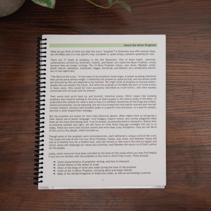 Return to Me: Minor Prophets 1 Bible Study