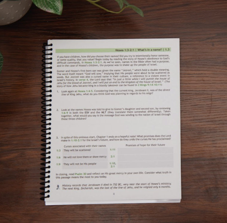 Sample lesson from Return to Me, Minor Prophets 1 Bible study