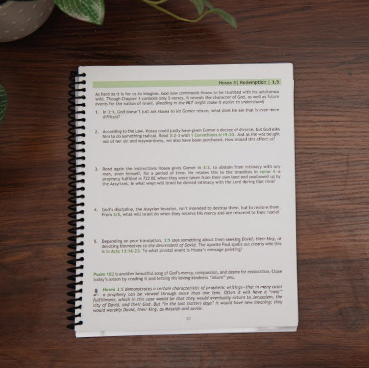 Sample lesson from Return to Me, Minor Prophets 1 Bible study