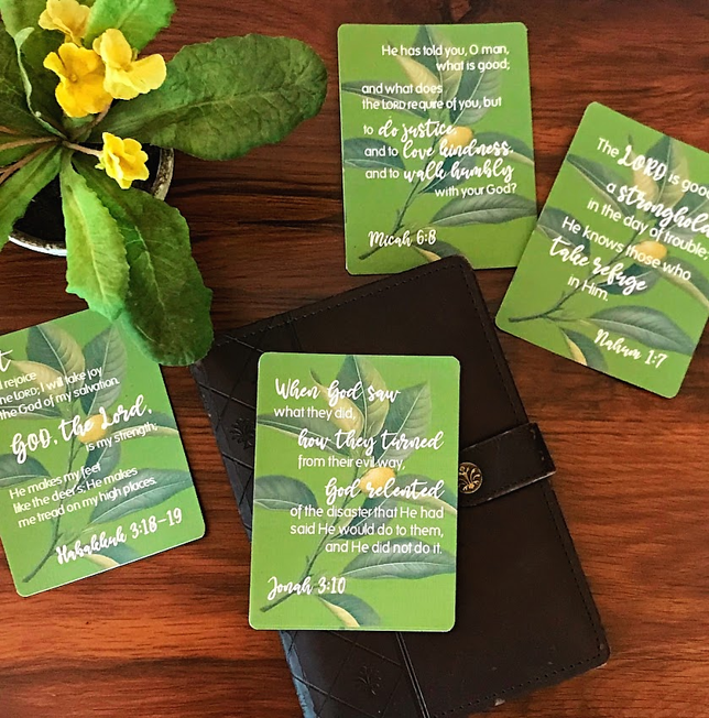Scripture Cards (Sets of 12)