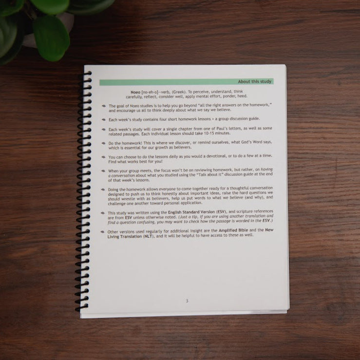 Intro page: how to use this Noeo study, from Set Your Mind, study on Philippians, Colossians, Philemon