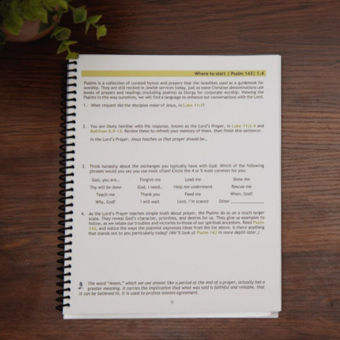 Sample lesson from Talk to Your God, Book of Psalms Bible study
