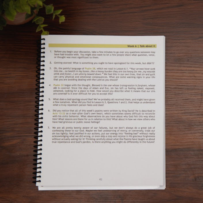 Sample lesson from Talk to Your God, Book of Psalms Bible study