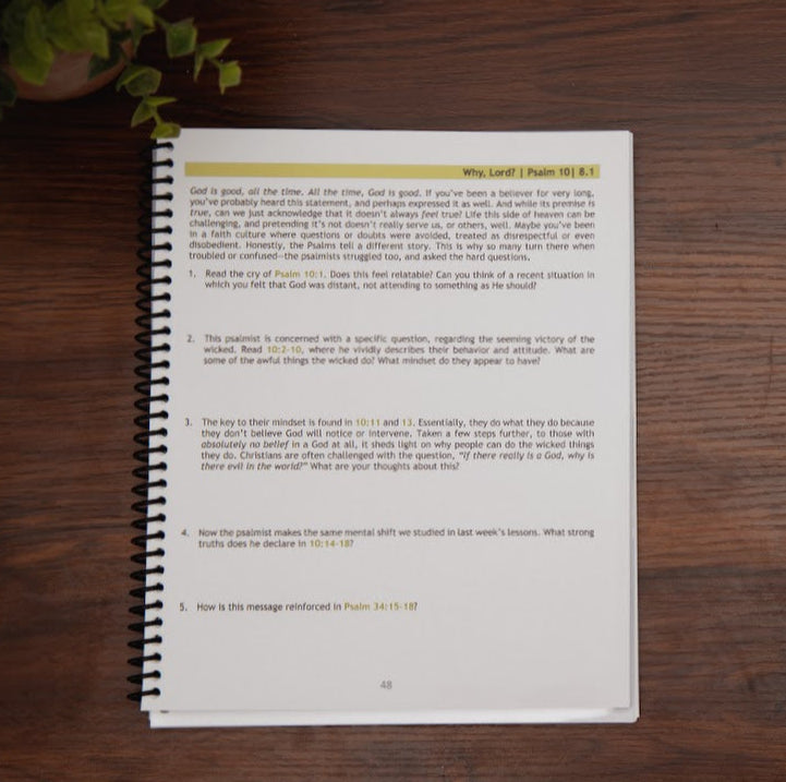 Sample lesson from Talk to Your God, Book of Psalms Bible study