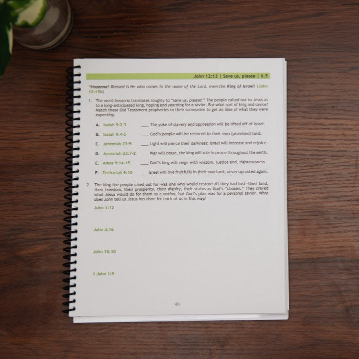 Sample lesson from Follow After Him, Gospel of John  Bible study