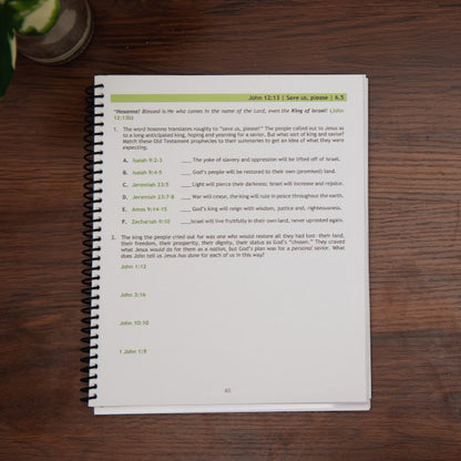 Sample lesson from Follow After Him, Gospel of John  Bible study
