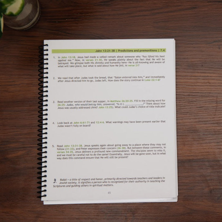 Sample lesson from Follow After Him, Gospel of John  Bible study