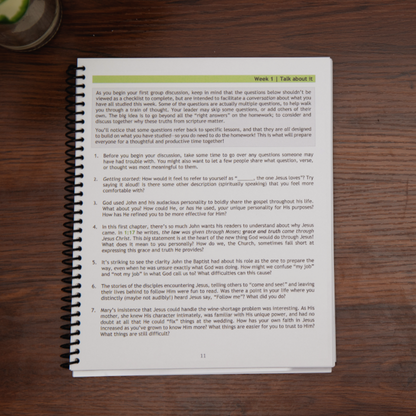 Sample lesson from Follow After Him, Gospel of John  Bible study