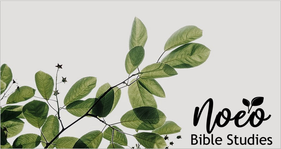 Rectangular image.. Noeo Bible Studies logo with leafy green background.