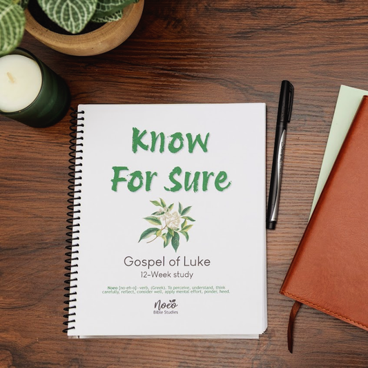 Workbook for Know for Sure, study on Luke; on wood table