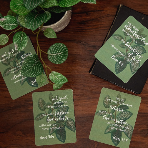 Scripture Cards (Sets of 12)