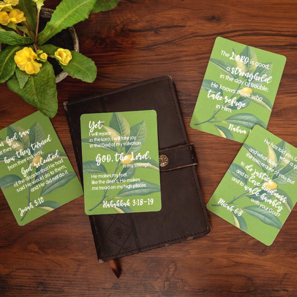 Scripture Cards (Sets of 12)