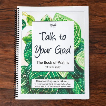 Workbook cover for Talk to Your God: the Book of Psalms