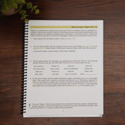 Sample lesson from Talk to Your God, Book of Psalms Bible study