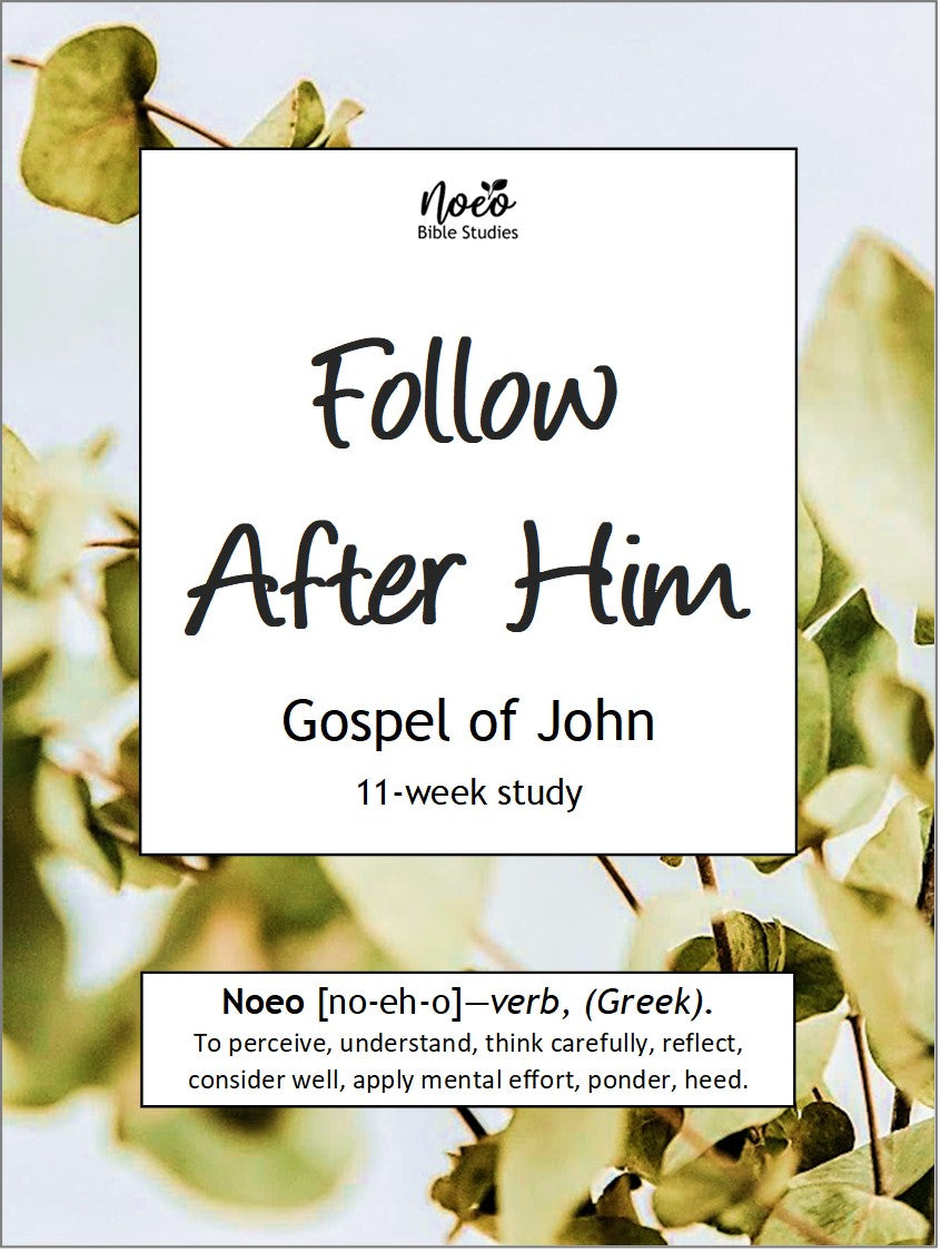 Follow After Him: Gospel of John Bible study