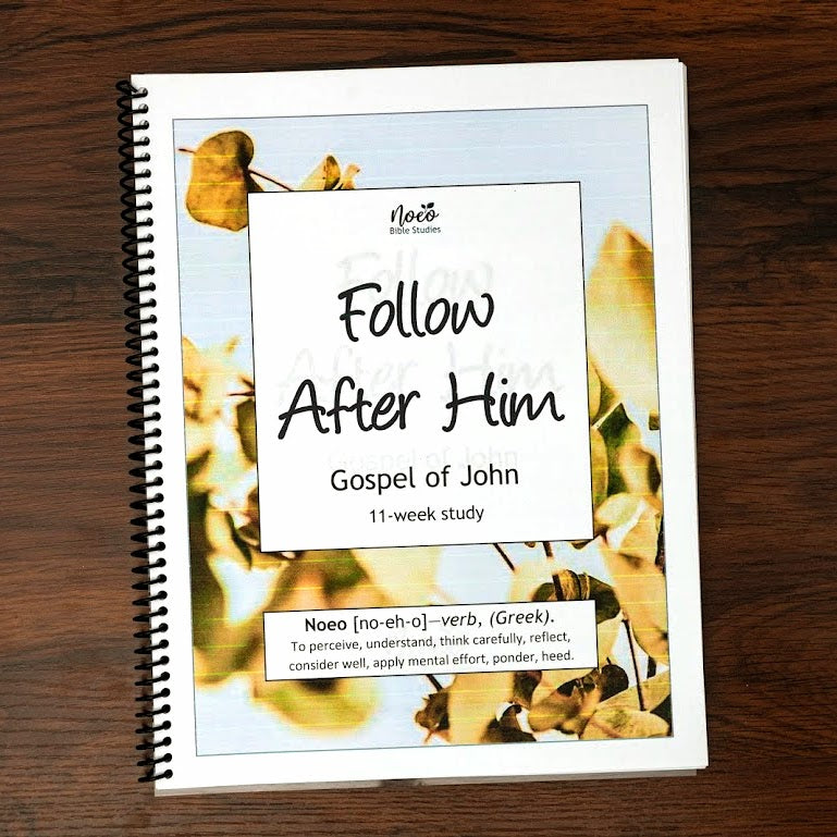 Workbook cover: Follow After Him, Gospel of John Bible study