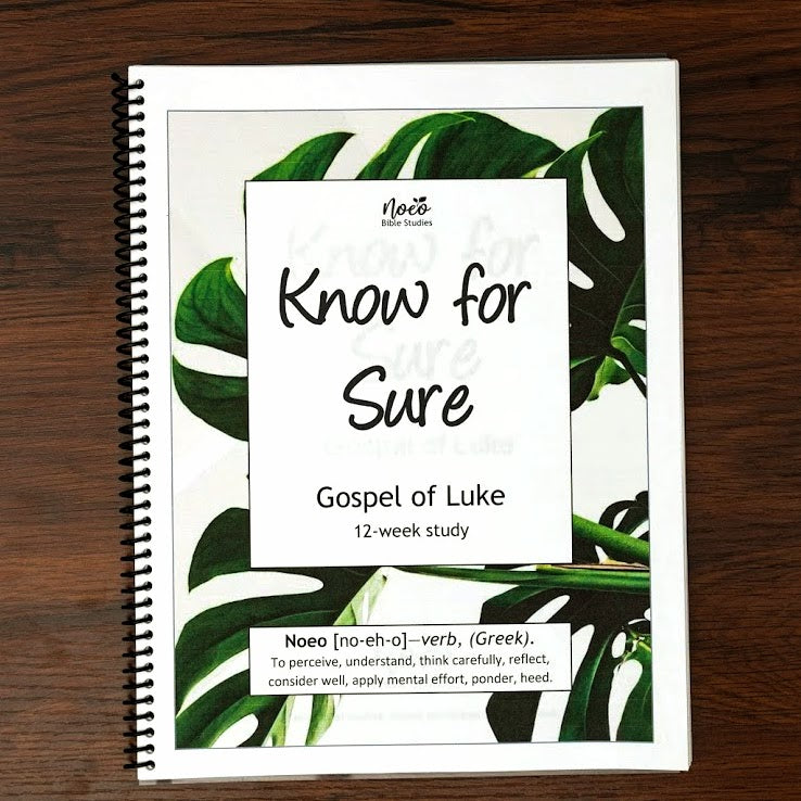 Workbook cover: Know for Sure, Gospel of Luke Bible study