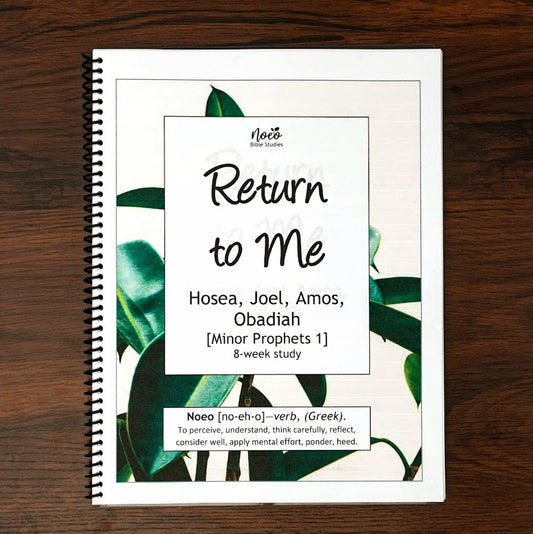 Workbook cover: Return to Me, Minor Prophets 1 Bible Study